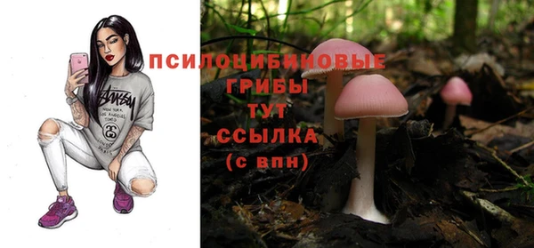 apvp Арсеньев