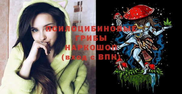 apvp Арсеньев