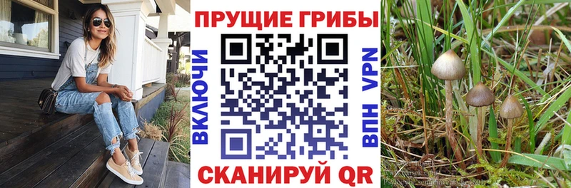 Галлюциногенные грибы Magic Shrooms  Сунжа 